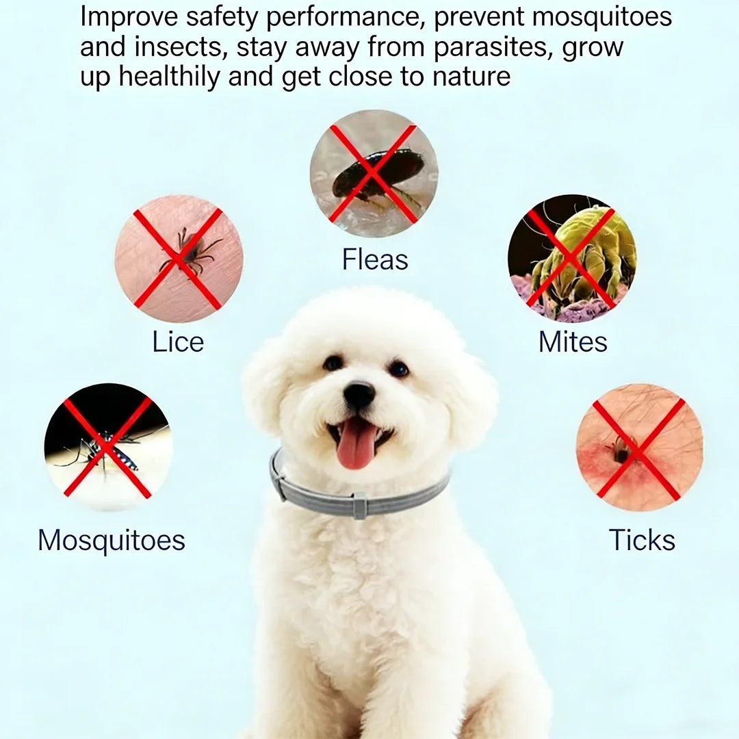 Pet Flea Collars Cat & Dog Safe Effective External Deworming Neck Collars Calming Cat Anxiety Relief Stress